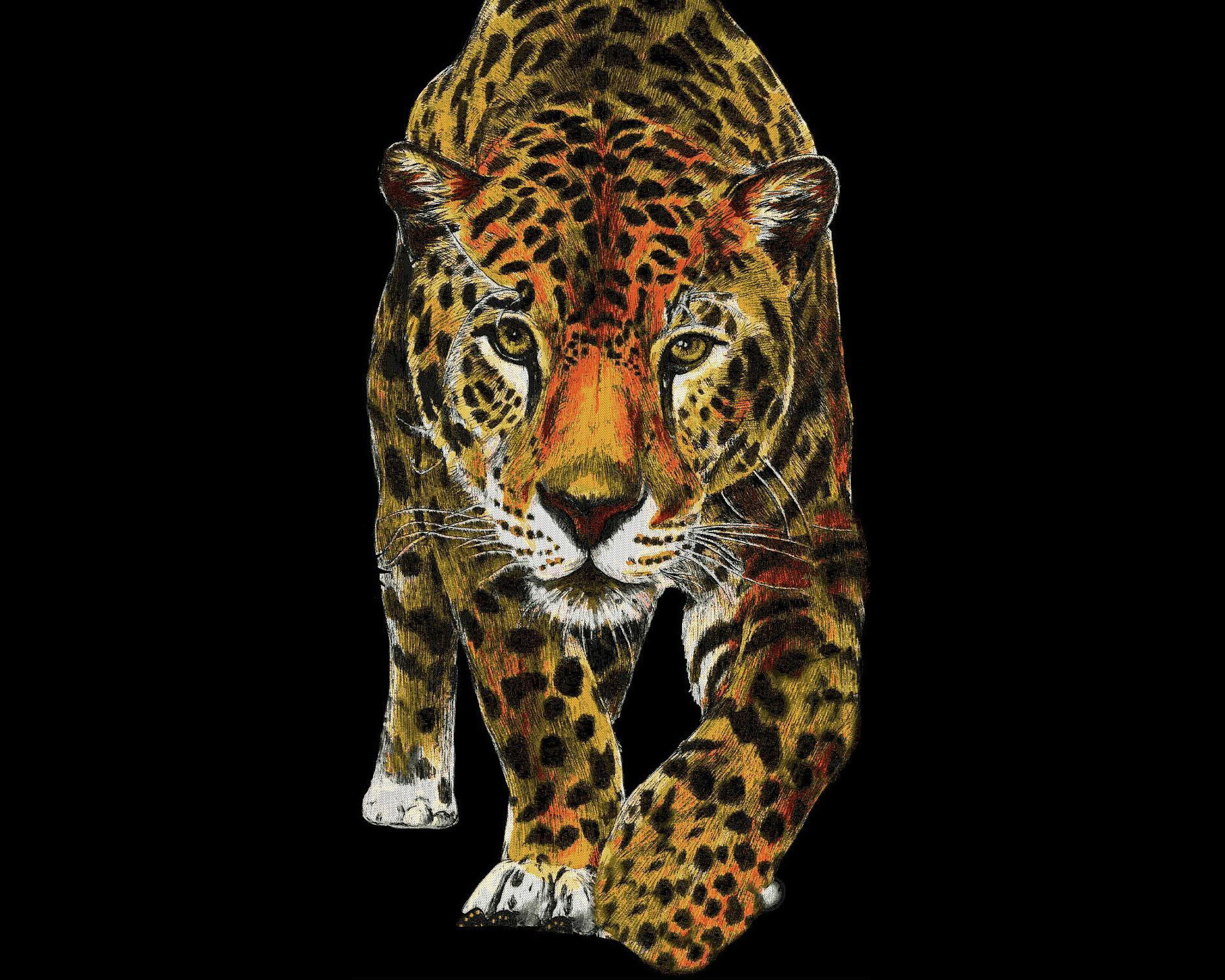 DTC16502-1S竹炭纤维无缝墙布